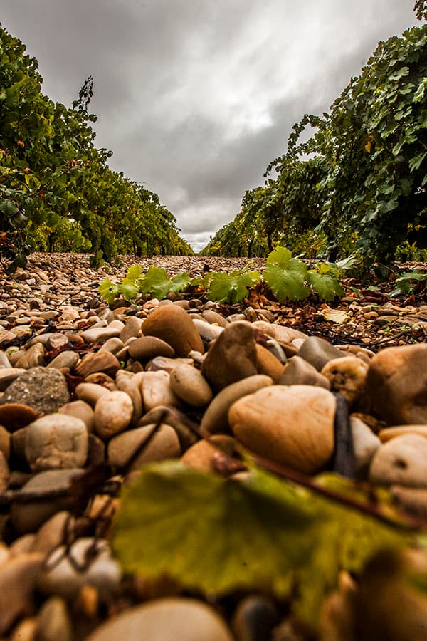 Canto Rodado Terroir