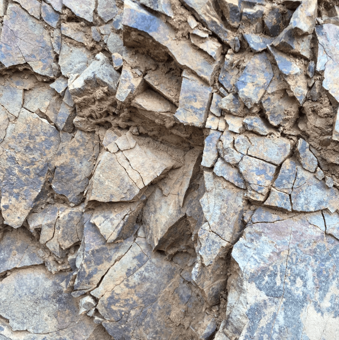 Adrets del Priorat gallery 3