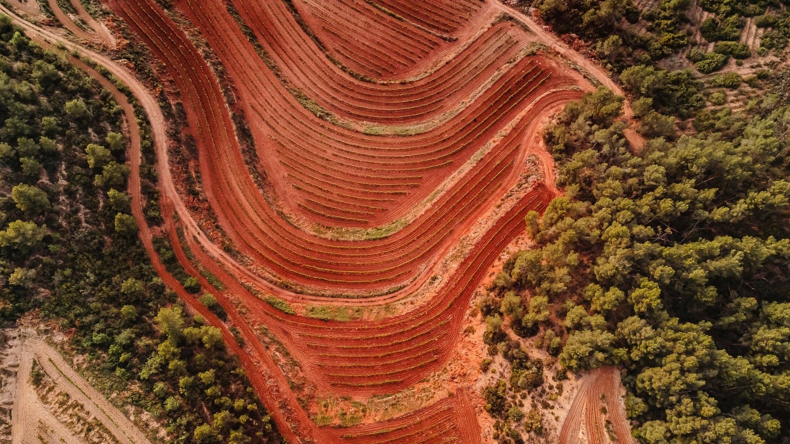 Celler Masroig