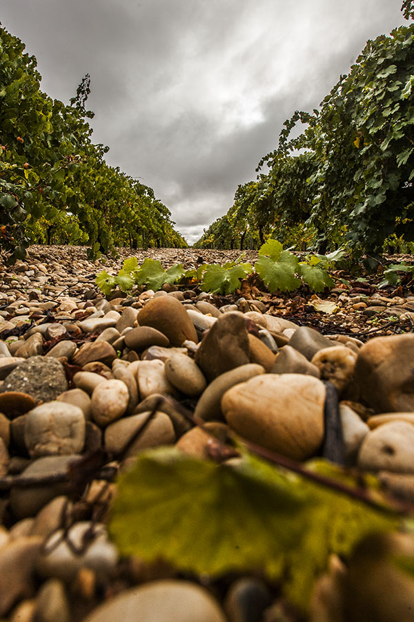 Canto Rodado Terroir