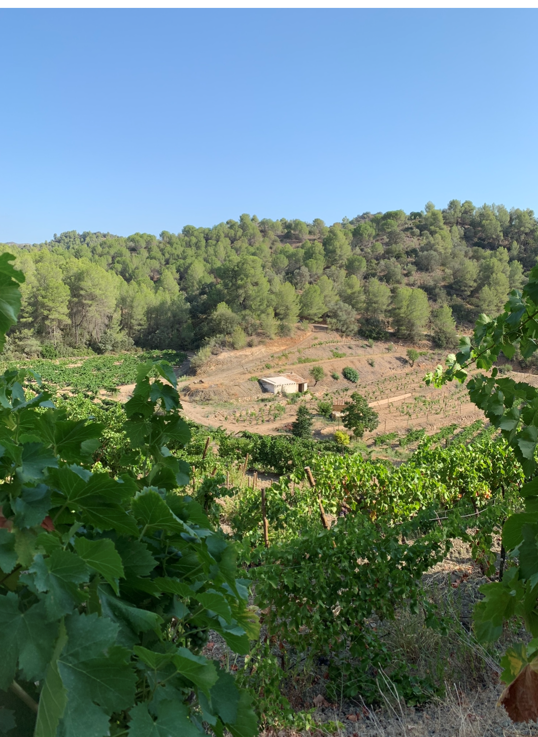 Priorat